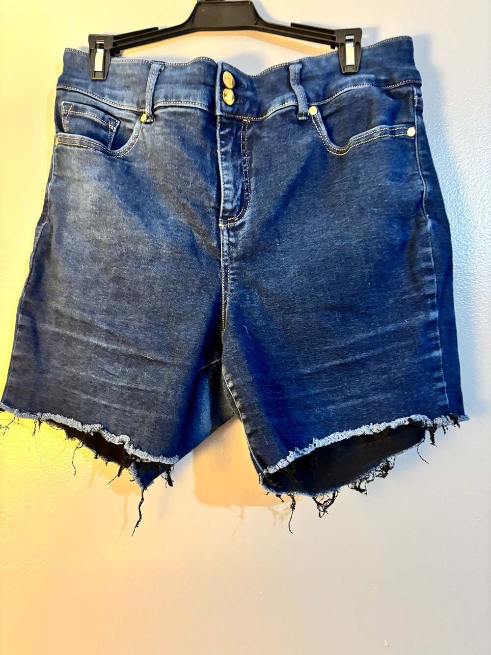 Anne Klein Women's Size 16 Dark Wash Denim Raw Hem Jean Shorts